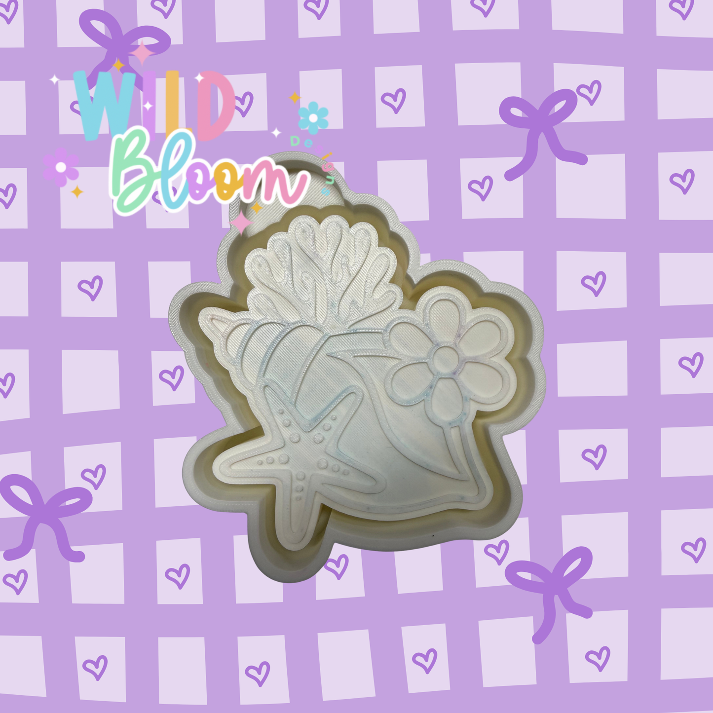 Seashells